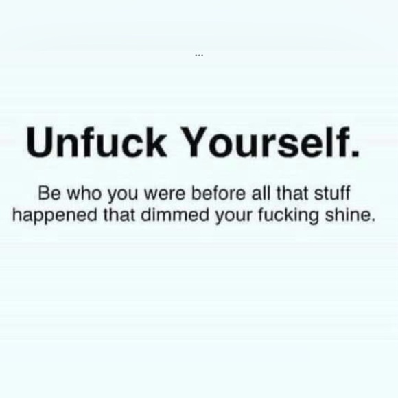 Meet your posher & Guinevere Yorkie! - Picture 15 of 16